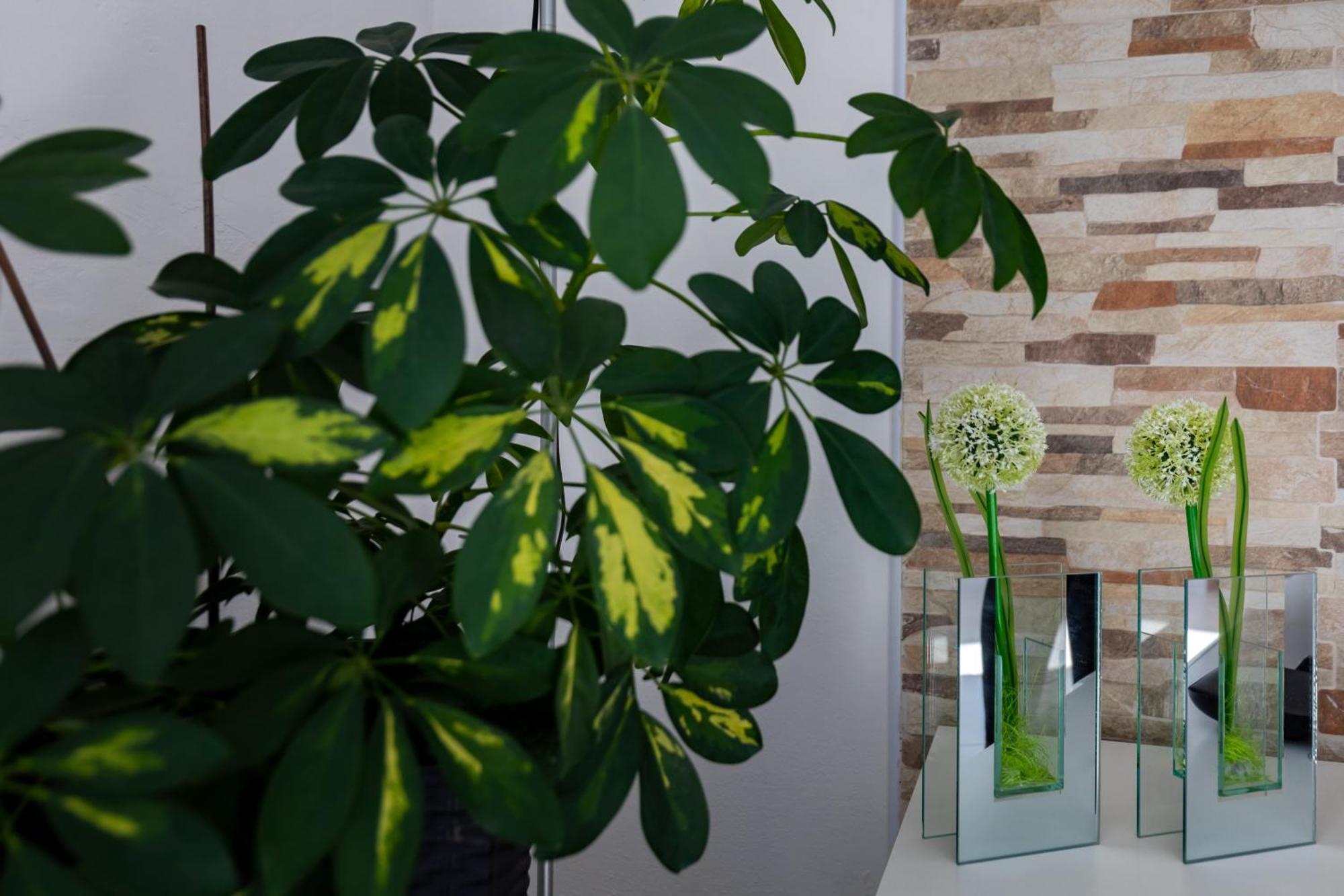 Apartment Blazevic